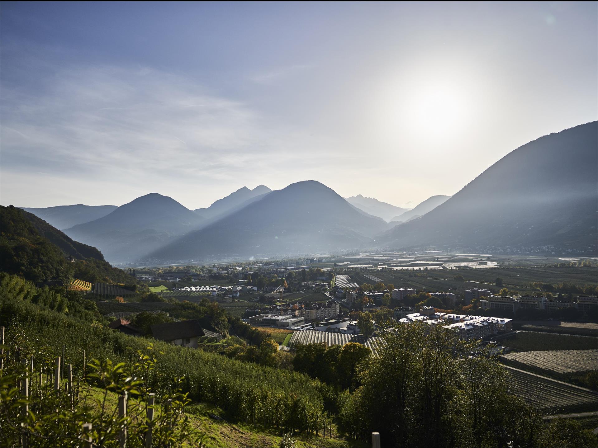 Kaltern Bike  racing bike tour: "Wiesenbalkon" from Merano Kaltern an der Weinstraße/Caldaro sulla Strada del Vino 1 suedtirol.info