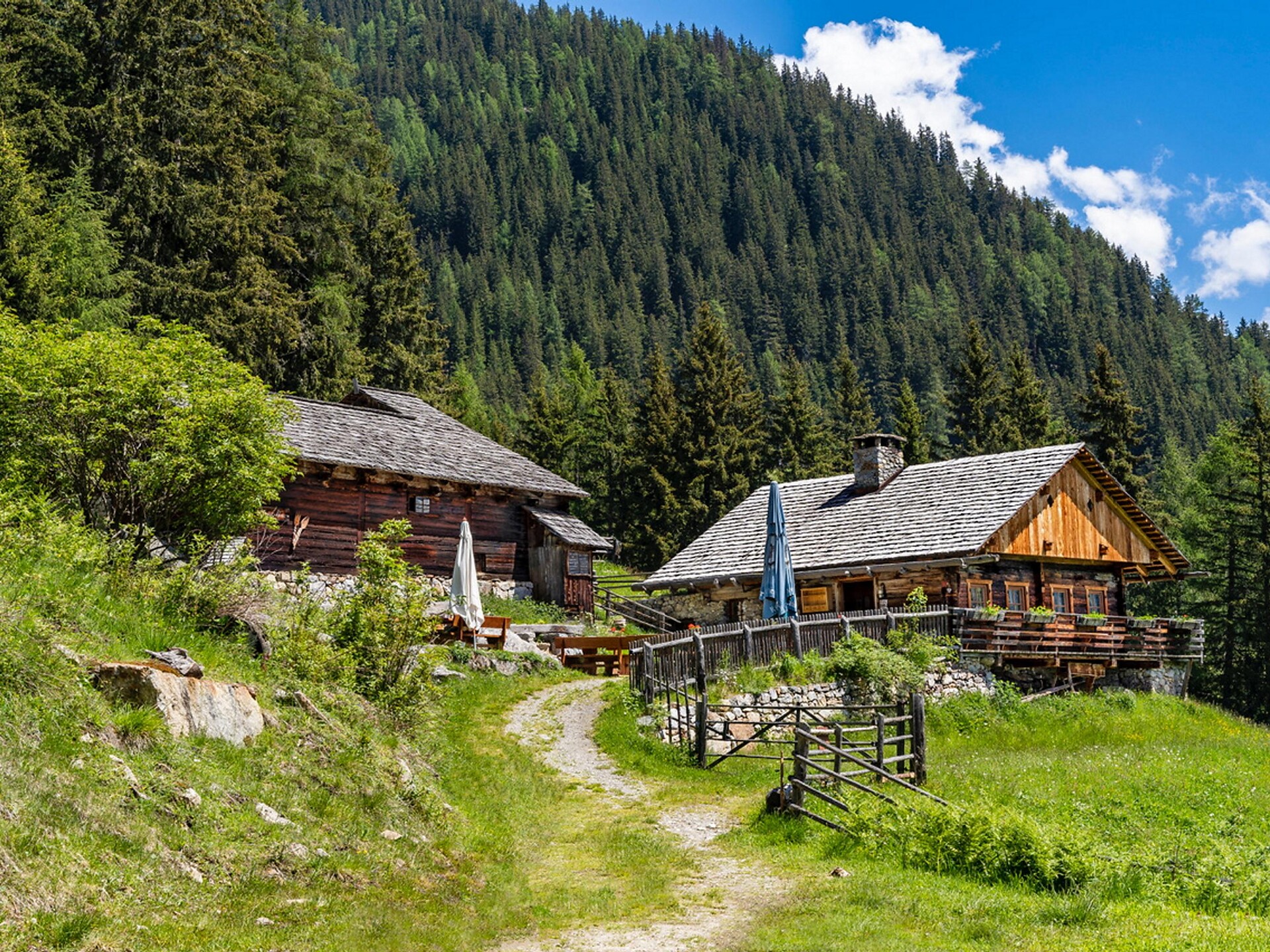 Panorama-Rundwanderung am Mittertaler Höhenweg - Dolomitenregion Kronplatz - #3 - suedtirol.info