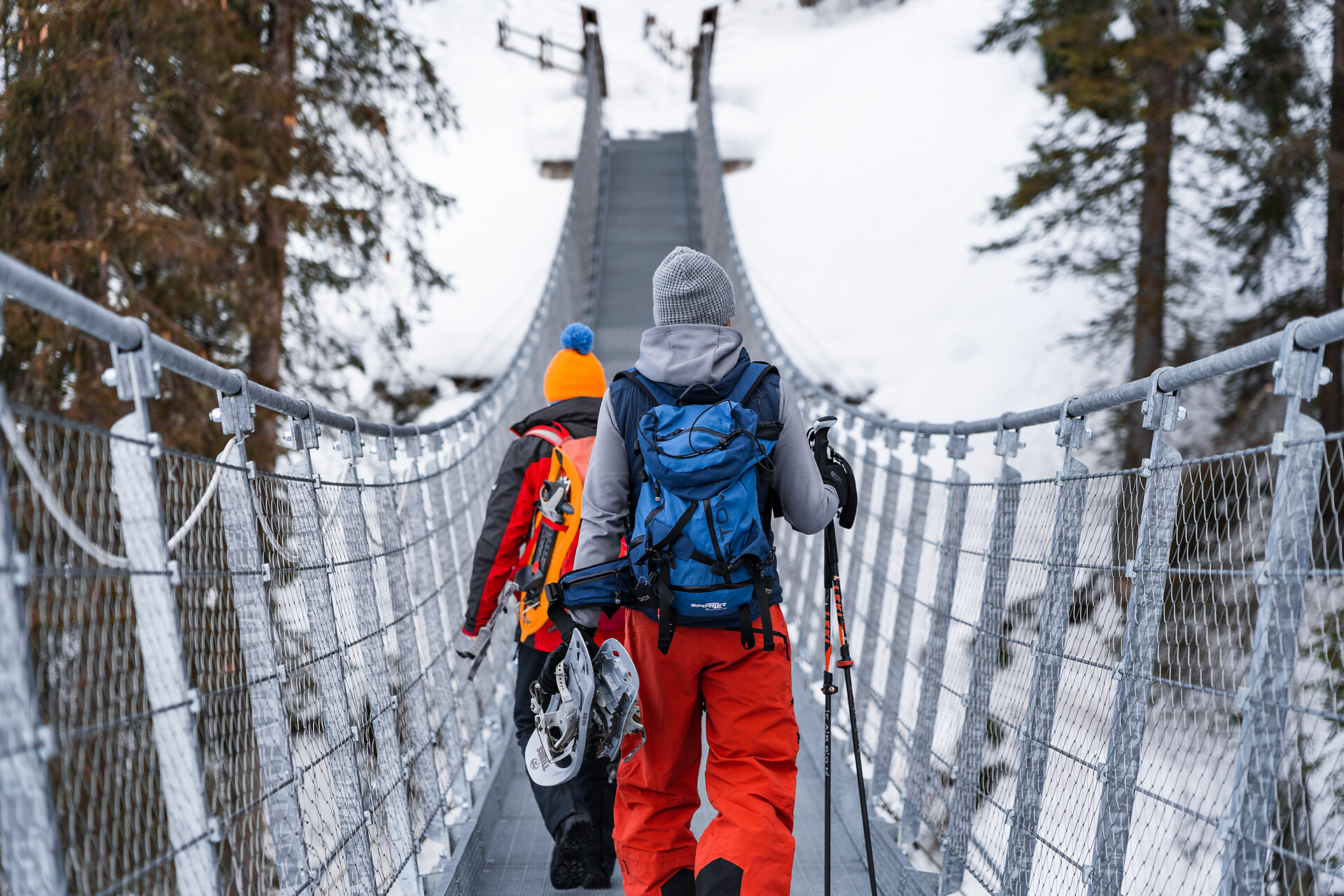Suspension bridge