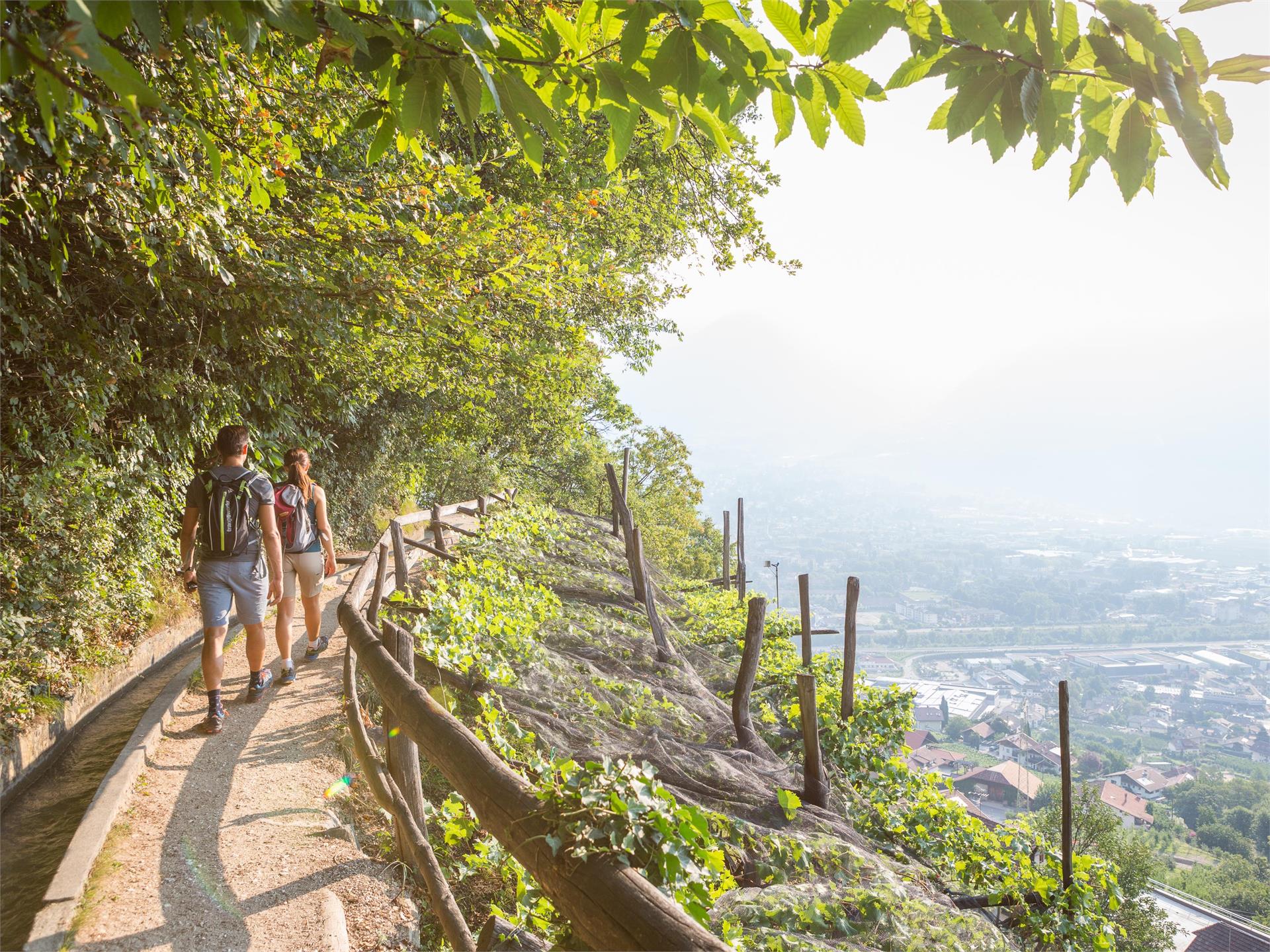 Il sentiero della roggia di Marlengo, il più lungo dell’Alto Adige Lana 2 suedtirol.info