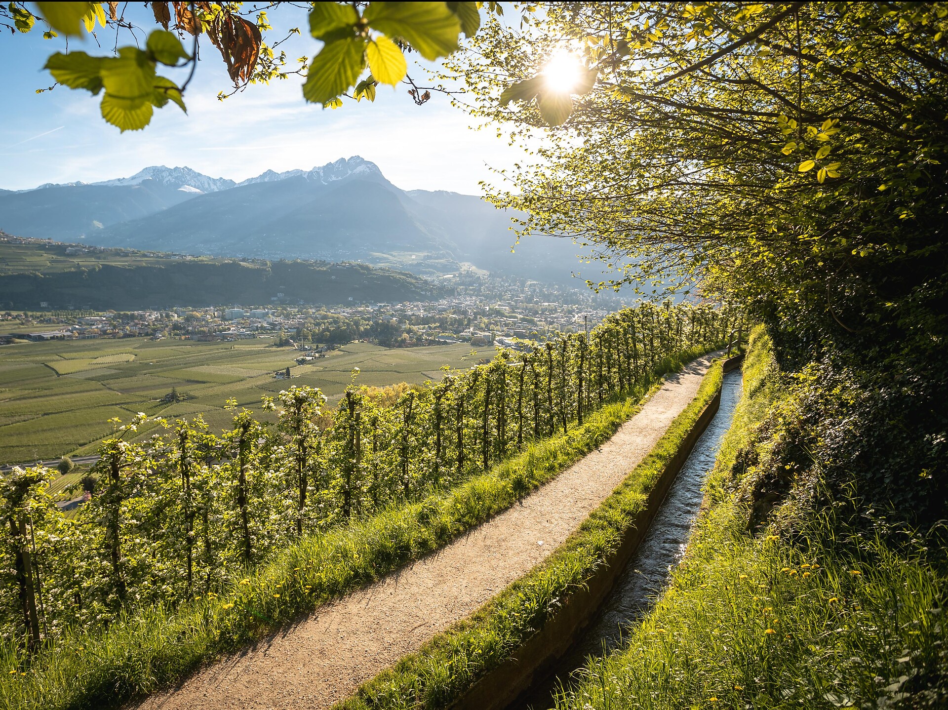 Il sentiero della roggia di Marlengo, il più lungo dell’Alto Adige Lana 1 suedtirol.info