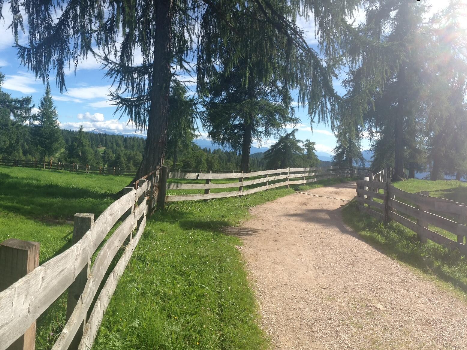 Trail on the plateau "Salten"