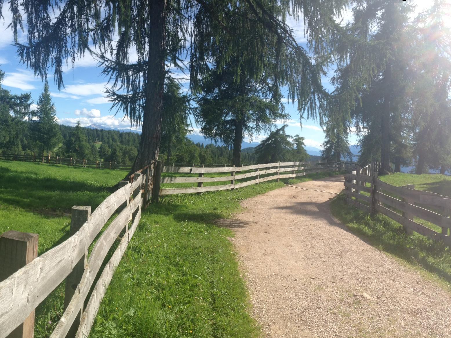Mölten - Stoanerne Mandln - Schermoos - Mölten Mölten/Meltina 1 suedtirol.info
