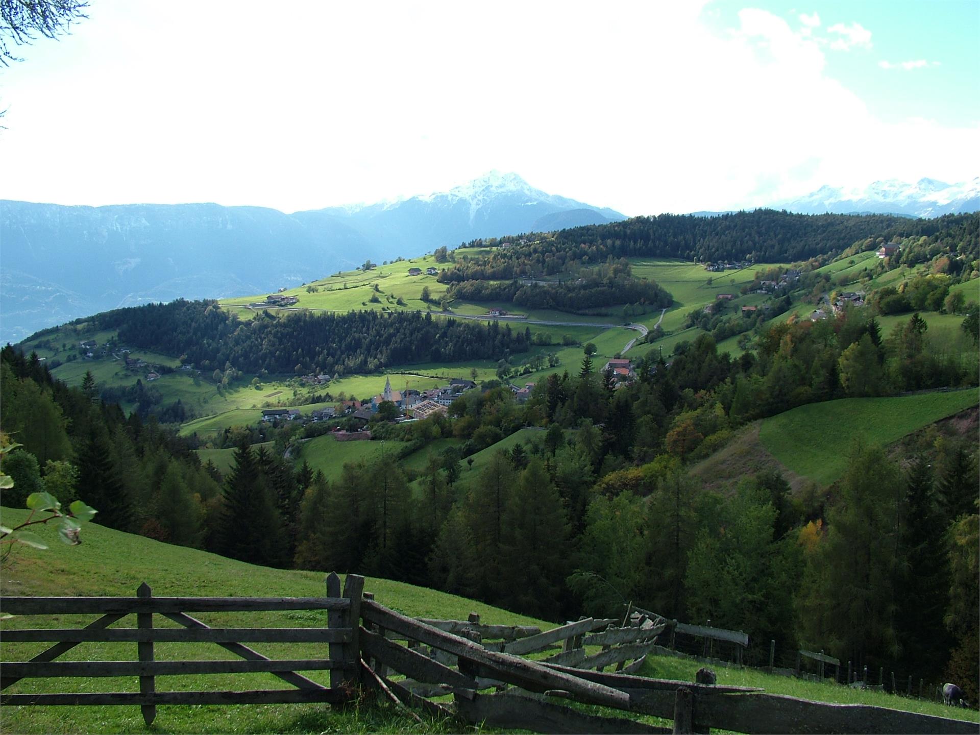 Meltina - Frassineto Meltina 2 suedtirol.info