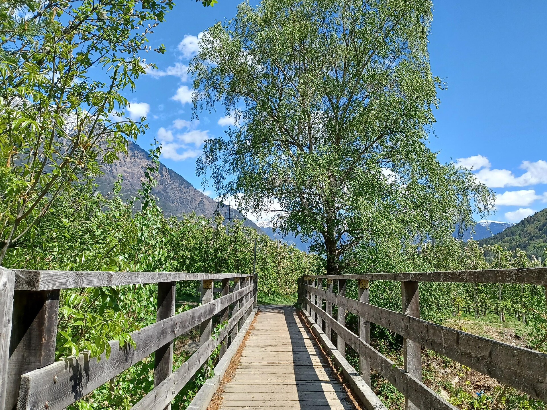 Escursione circolare Mühlwaal lungo un antico corso d’acqua Parcines 7 suedtirol.info