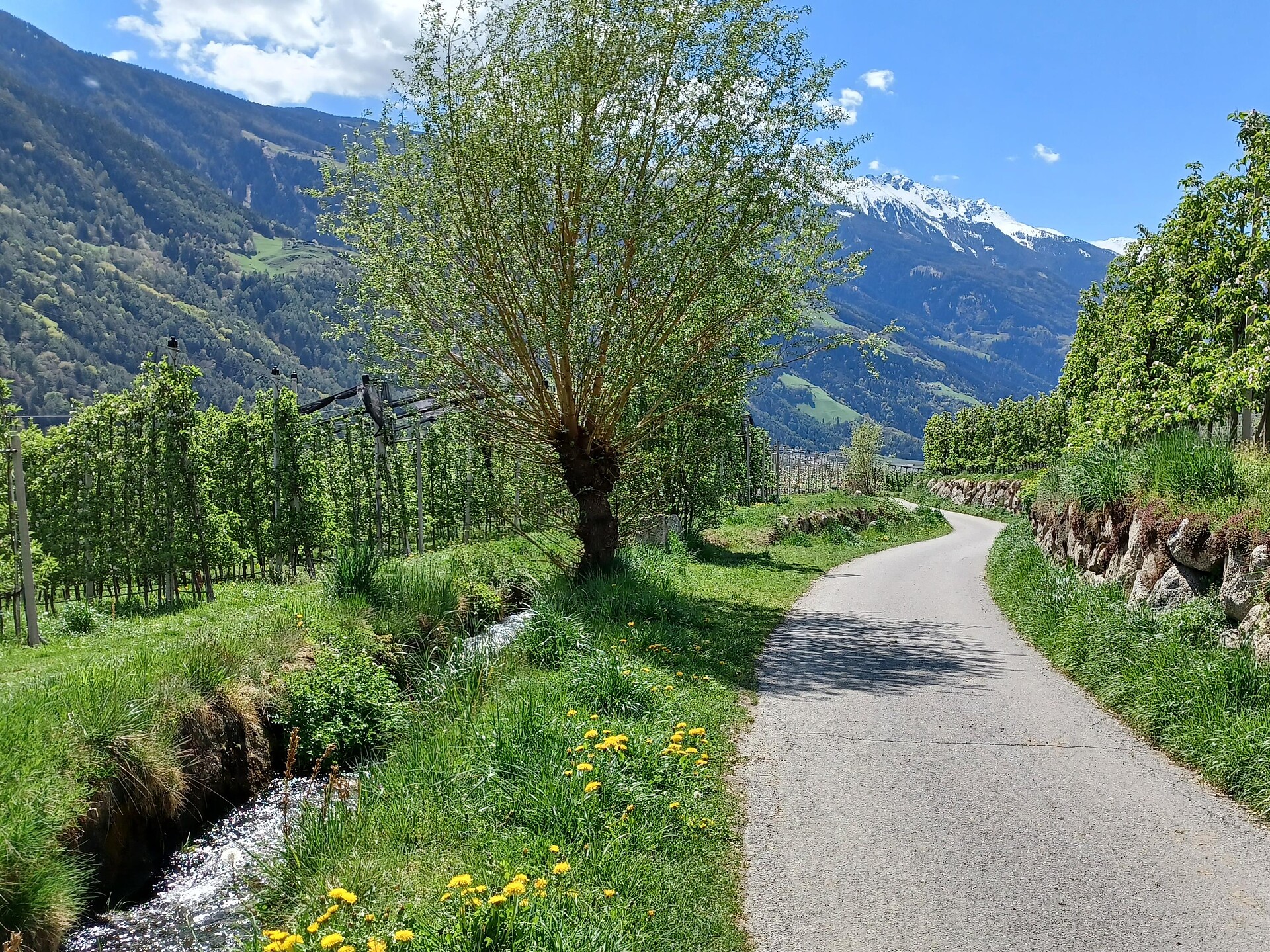 Escursione circolare Mühlwaal lungo un antico corso d’acqua Parcines 2 suedtirol.info