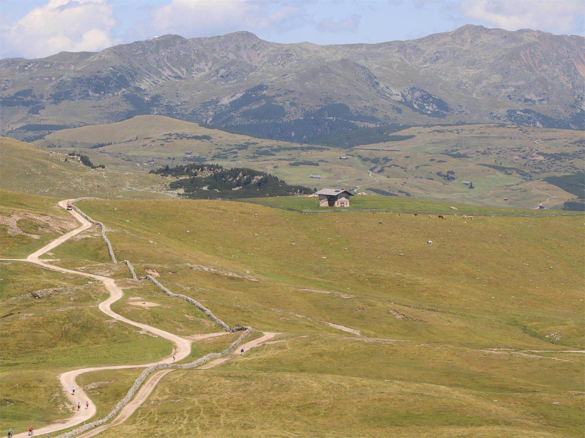 Mountainbike-Tour IV Soprabolzano - Corno del Renon Renon 1 suedtirol.info