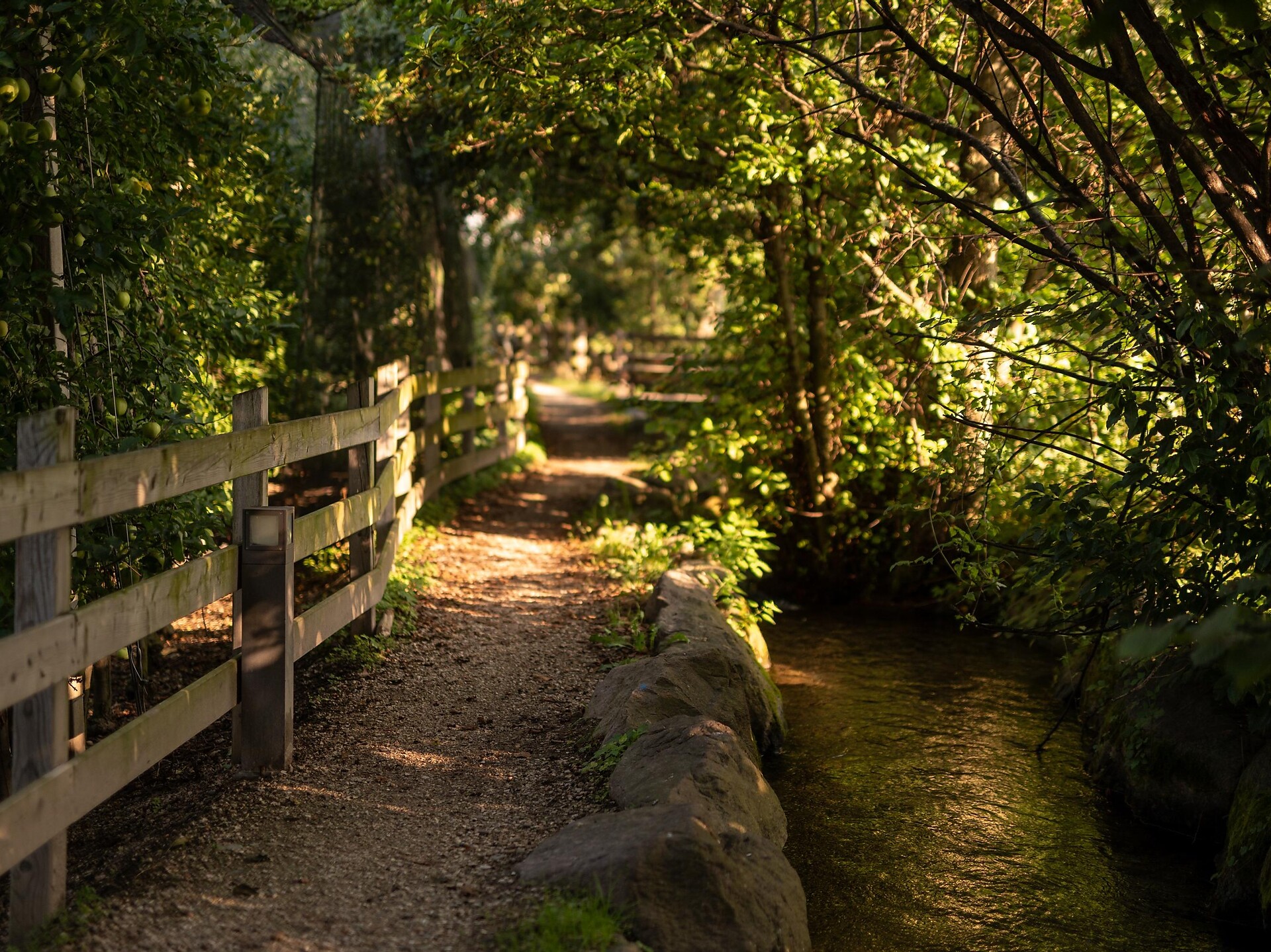 Mühlbachweg Tscherms - Meran und Umgebung - #3 - suedtirol.info