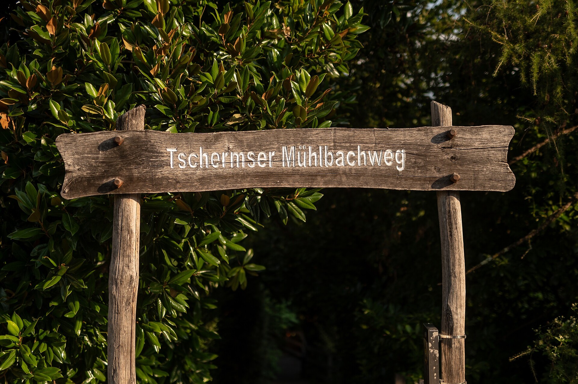 Mühlbachweg Tscherms - Meran und Umgebung - #1 - suedtirol.info