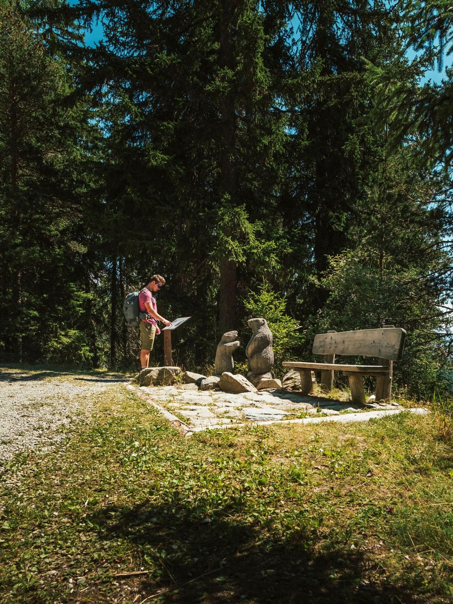 Marmot walk - Dolomites Region Kronplatz/Plan de Corones - #1 - suedtirol.info
