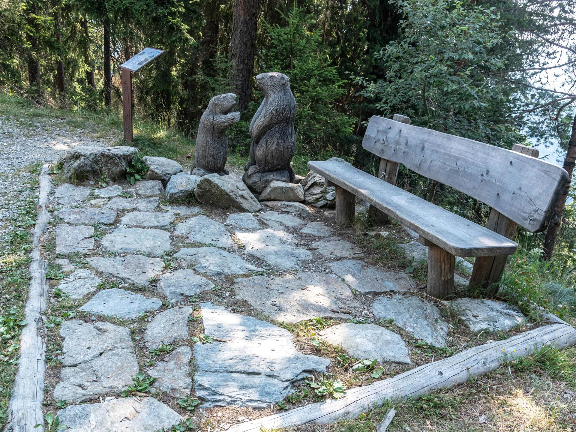 Sentiero delle marmotte Selva dei Molini 2 suedtirol.info