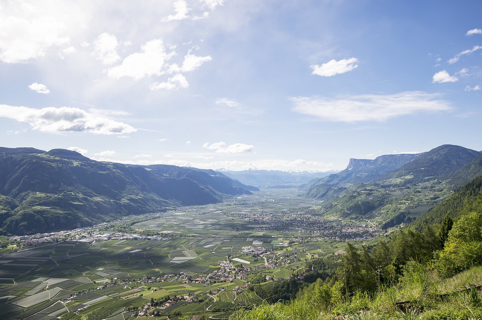 Marlinger Höhenweg ab Algund/Töll Algund 1 suedtirol.info