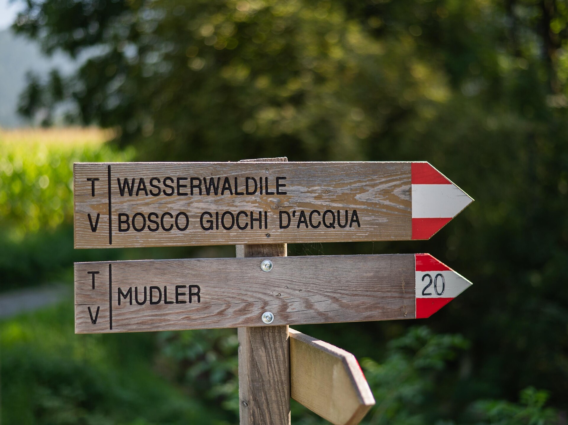 Circular hike Niederrasen – Oberstall Farms – Oberrasen - Dolomites Region Kronplatz/Plan de Corones - #1 - suedtirol.info