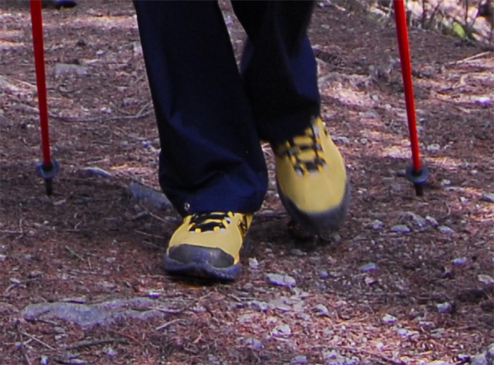 Nordic Walking Proveis Proveis 1 suedtirol.info