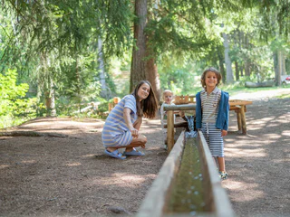 Naturerlebniswanderung von Niederrasen über das Wasserwaldile zum Biotop Rasner Möser - Rasen-Antholz - #4 - suedtirol.info