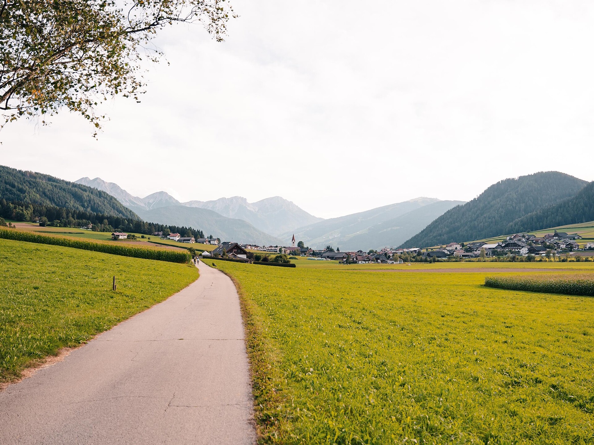 Naturerlebniswanderung von Niederrasen über das Wasserwaldile zum Biotop Rasner Möser - Dolomitenregion Kronplatz - #9 - suedtirol.info