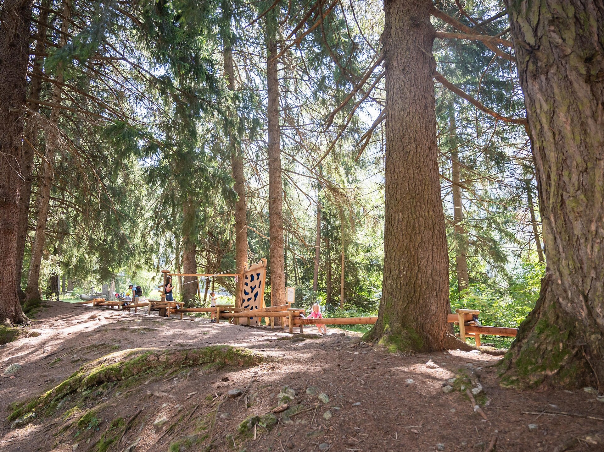 Naturerlebniswanderung von Niederrasen über das Wasserwaldile zum Biotop Rasner Möser - Dolomitenregion Kronplatz - #2 - suedtirol.info