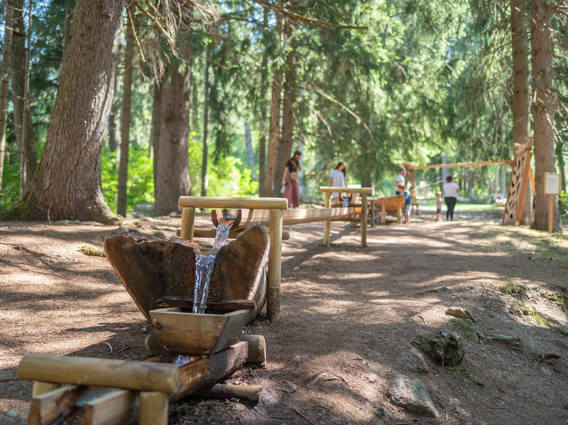 Naturerlebniswanderung von Niederrasen über das Wasserwaldile zum Biotop Rasner Möser - Dolomitenregion Kronplatz - #1 - suedtirol.info