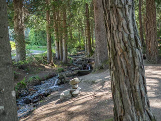 Naturerlebniswanderung von Niederrasen über das Wasserwaldile zum Biotop Rasner Möser - Rasen-Antholz - #3 - suedtirol.info