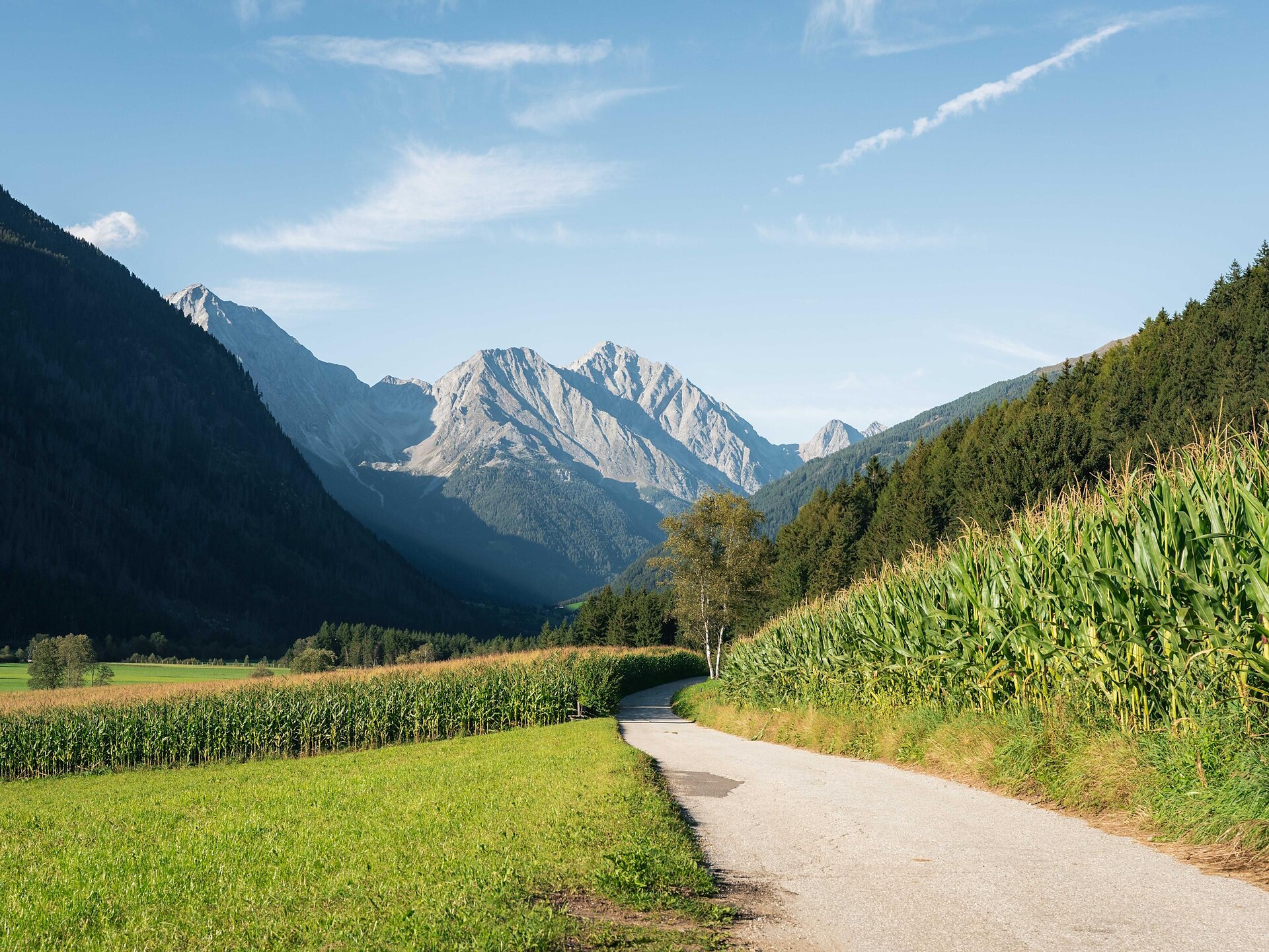Naturerlebniswanderung von Niederrasen über das Wasserwaldile zum Biotop Rasner Möser - Dolomitenregion Kronplatz - #10 - suedtirol.info