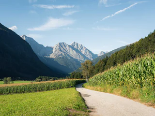 Naturerlebniswanderung von Niederrasen über das Wasserwaldile zum Biotop Rasner Möser - Rasen-Antholz - #10 - suedtirol.info