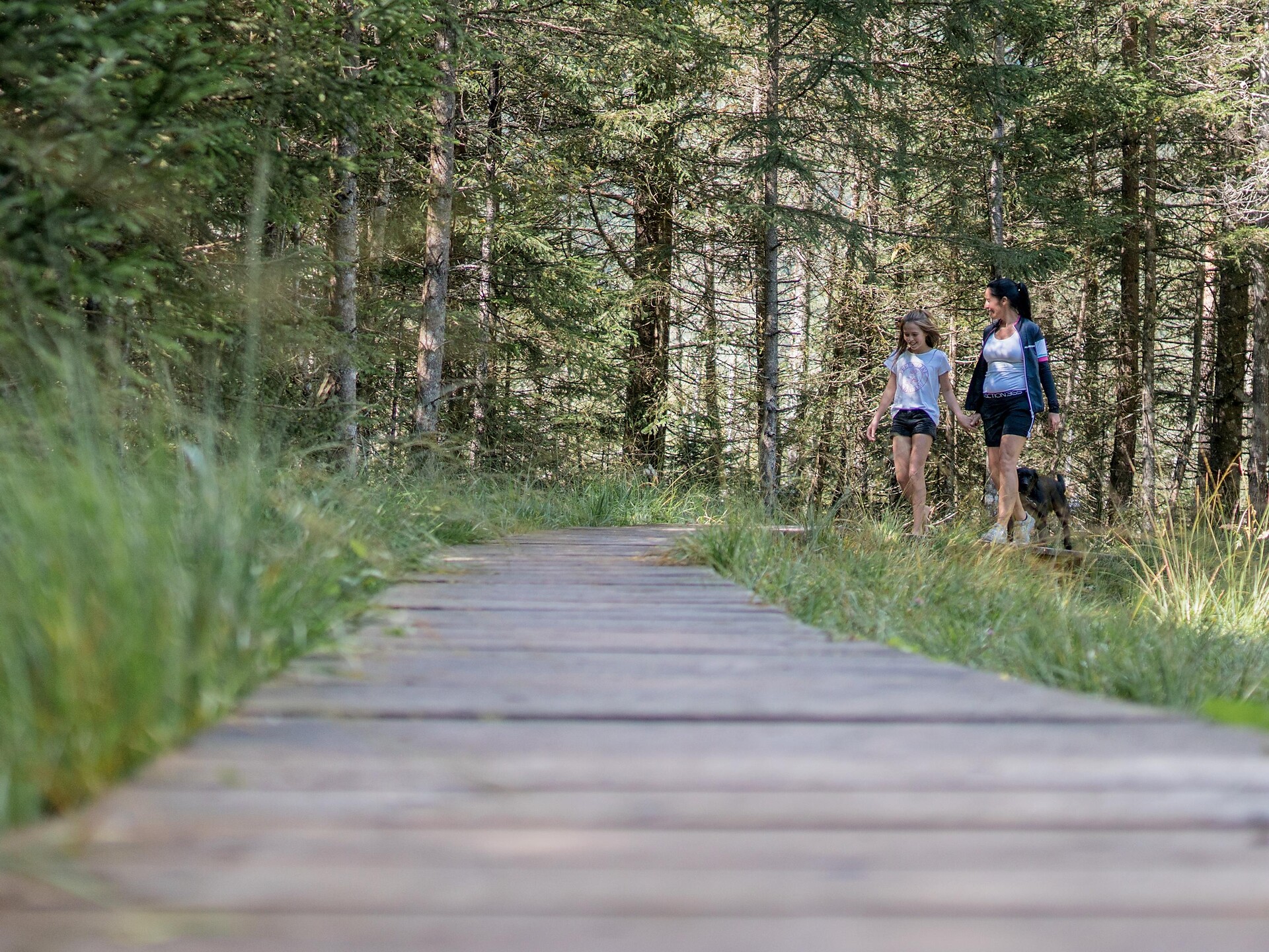 Naturerlebniswanderung von Niederrasen über das Wasserwaldile zum Biotop Rasner Möser - Dolomitenregion Kronplatz - #12 - suedtirol.info