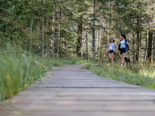 Naturerlebniswanderung von Niederrasen über das Wasserwaldile zum Biotop Rasner Möser - Rasen-Antholz - #12 - suedtirol.info