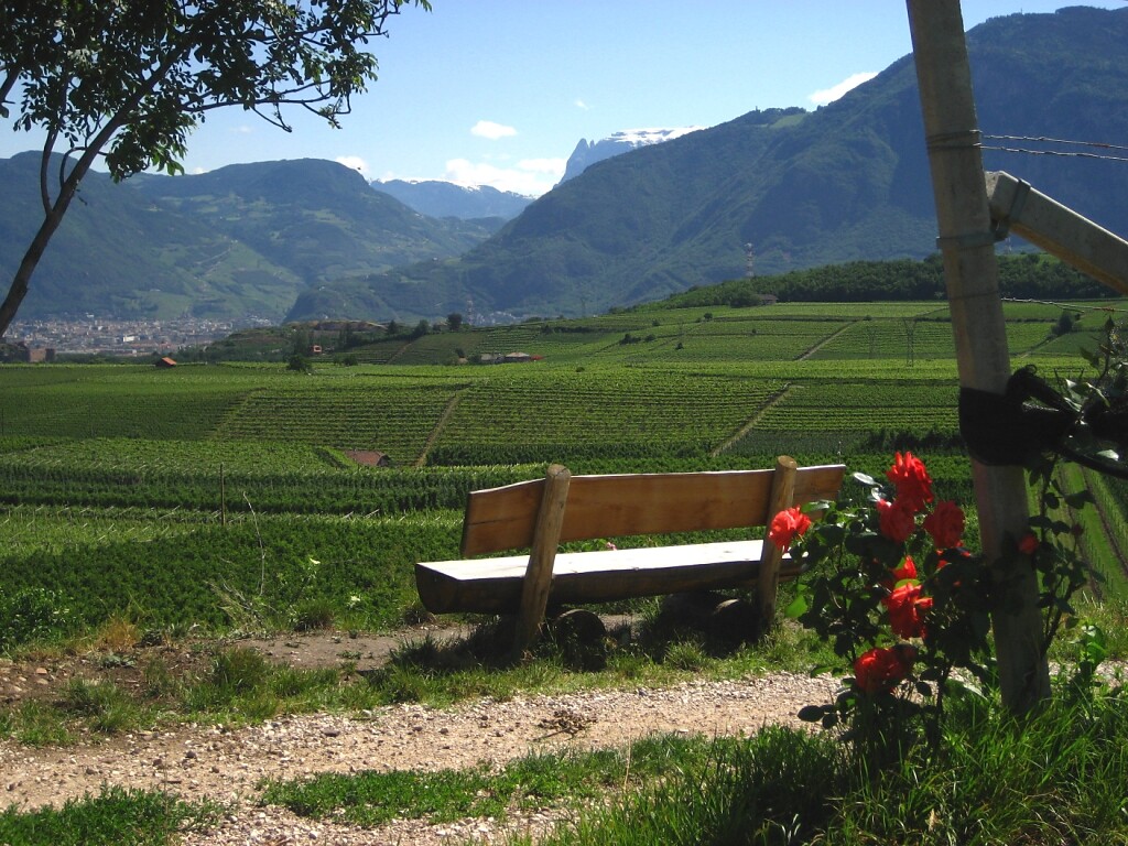 weinlehrpfad