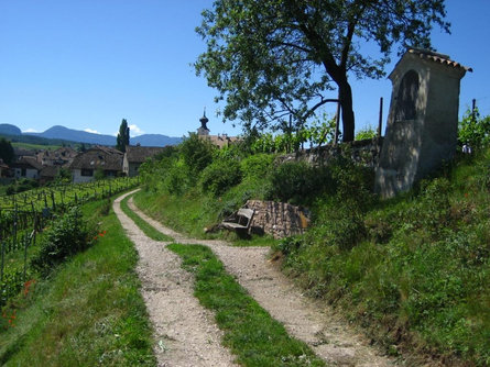 Natural and Wine Trail Cornaiano/Girlan Eppan an der Weinstaße/Appiano sulla Strada del Vino 1 suedtirol.info