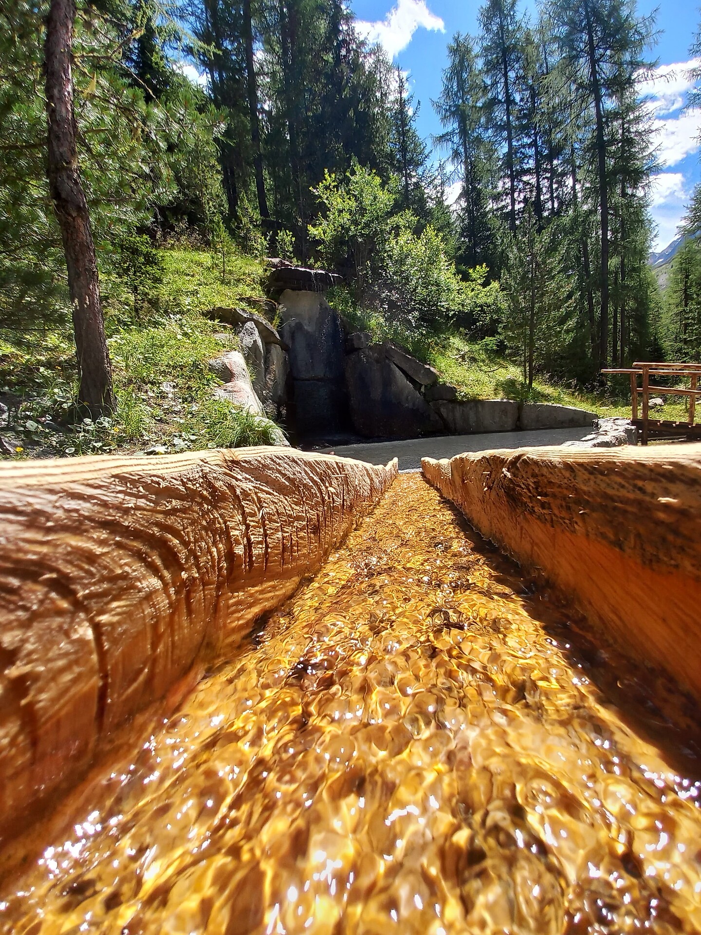 Naturaronda - Val Venosta - #6 - suedtirol.info