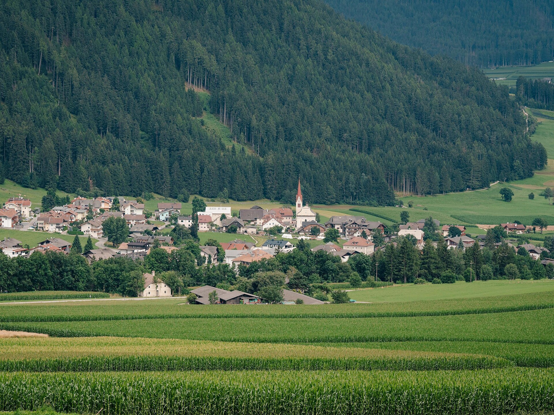 Circular hike from Niederrasen via Jagdhaus to Oberrasen - Dolomites Region Kronplatz/Plan de Corones - #4 - suedtirol.info