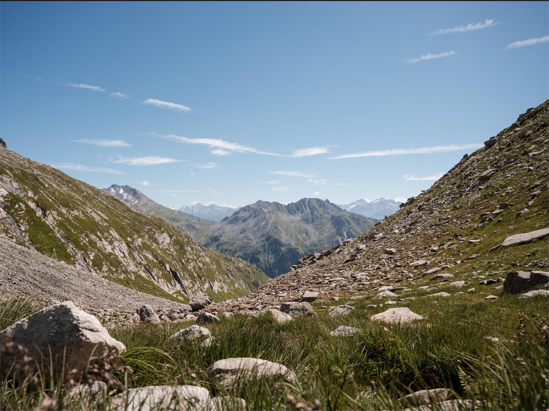Napfspitze: Wandern mit Gletscherblick Vintl 4 suedtirol.info