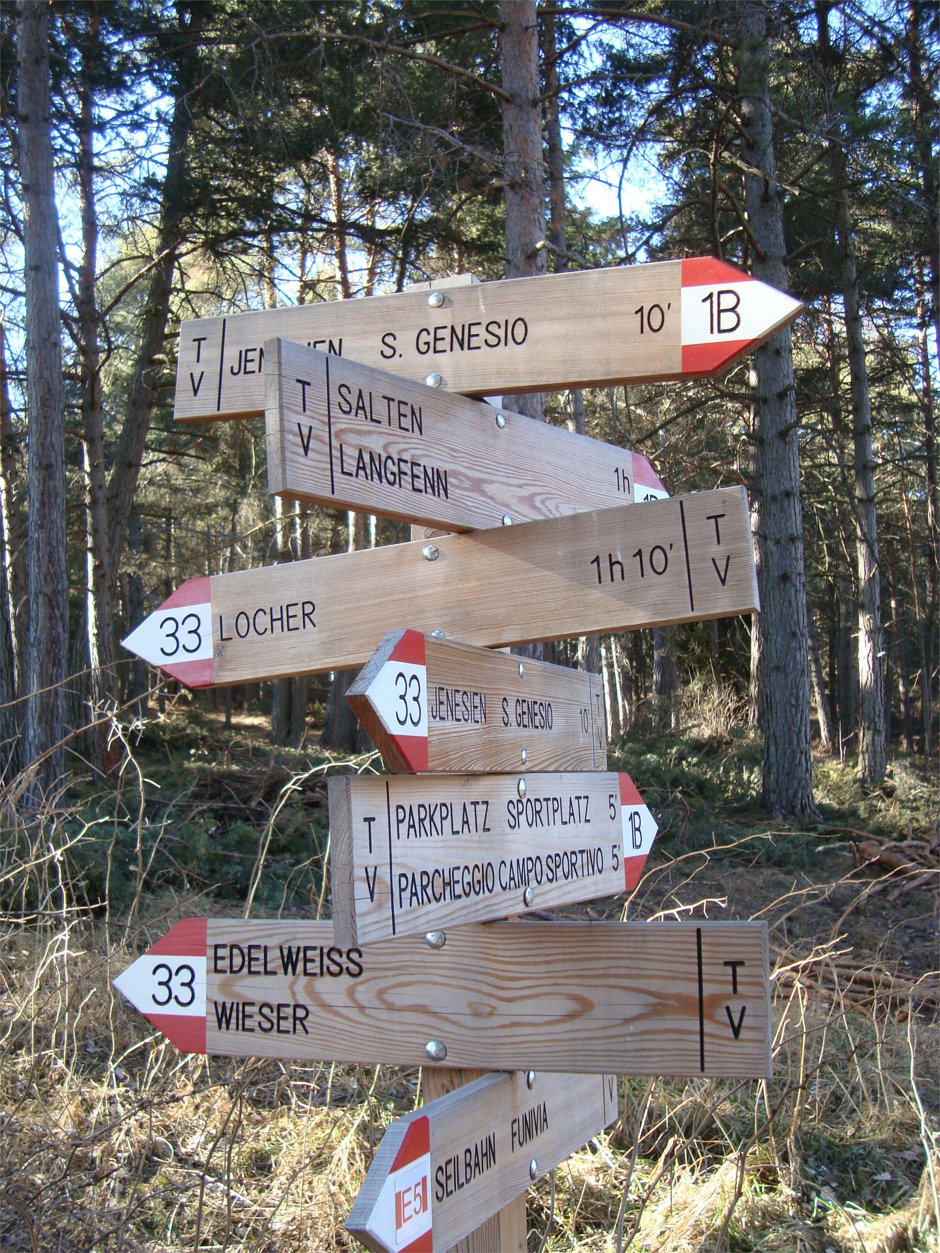 Nordic Walking: Jenesien - Nobls Jenesien 1 suedtirol.info