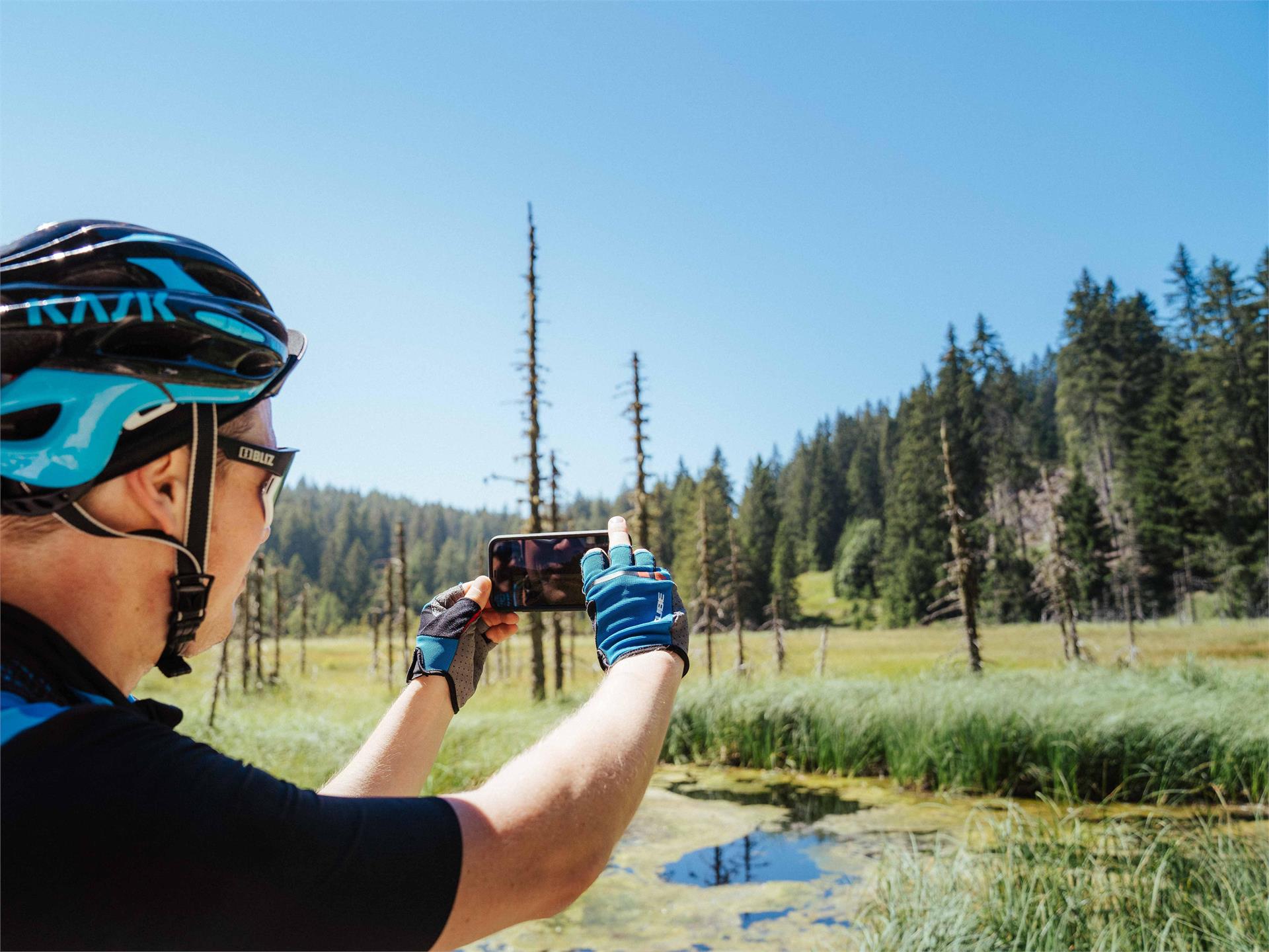 Giro del Parco Naturale Monte Corno Trodena 8 suedtirol.info