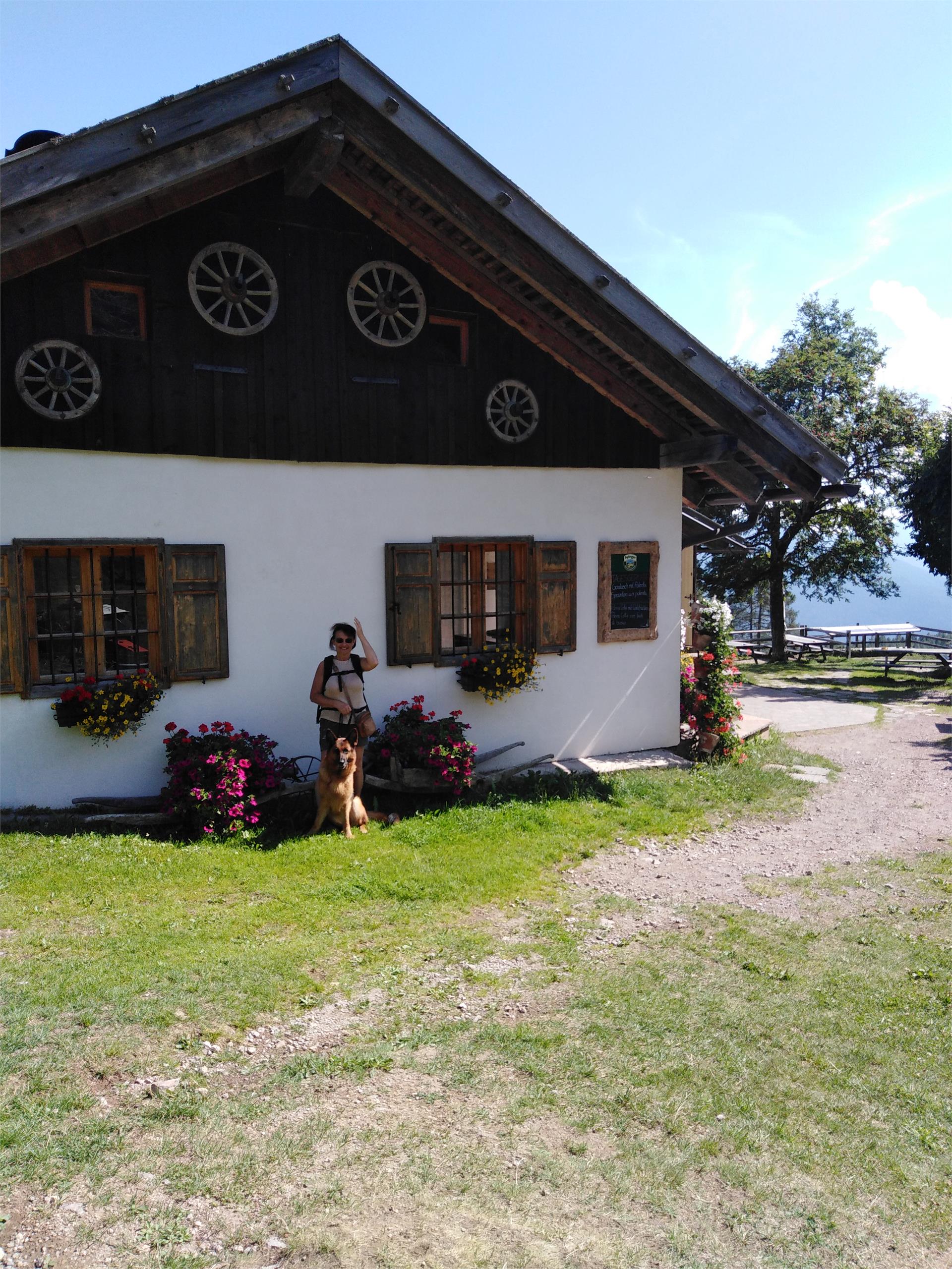 Giro del Parco Naturale Monte Corno Trodena 5 suedtirol.info