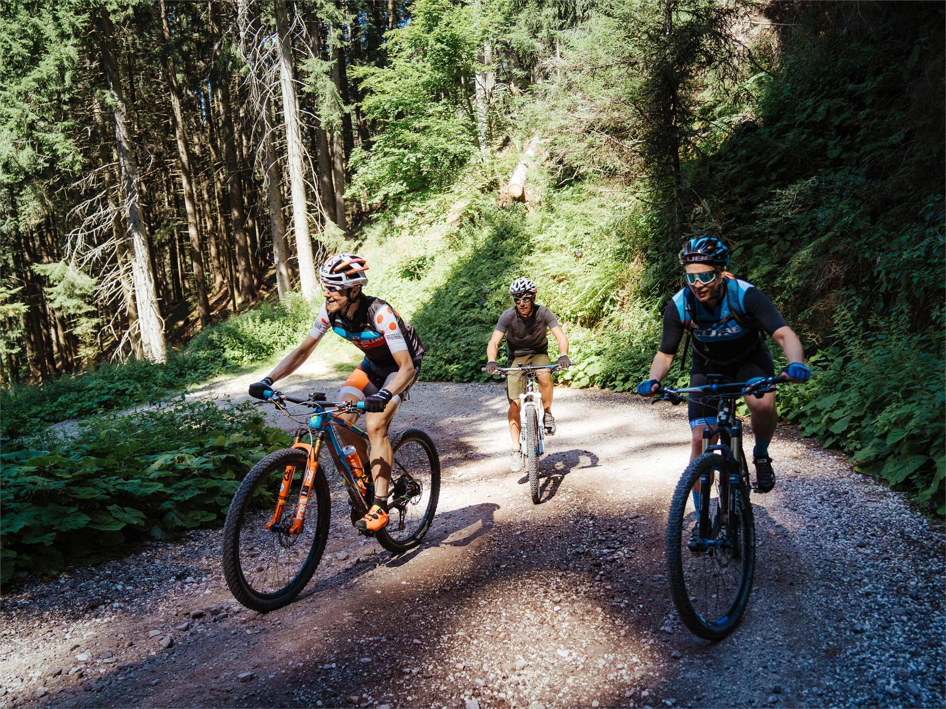 Giro del Parco Naturale Monte Corno Trodena 1 suedtirol.info