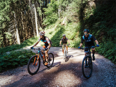 Parco Naturale Monte Corno: percorso circolare in mountain bike Trodena 1 suedtirol.info