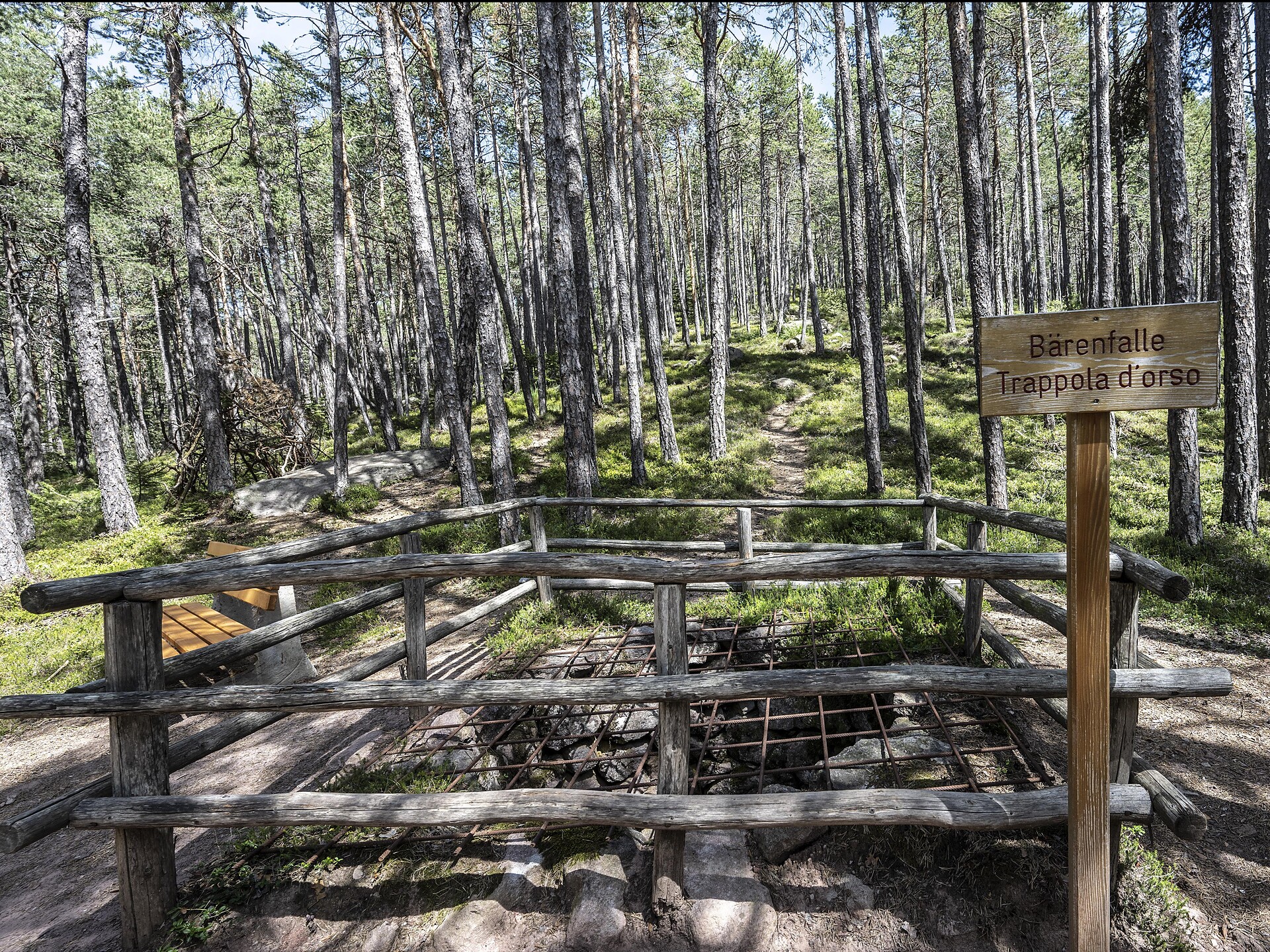 The bear trap in St. Michael
