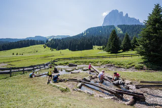 Naturerlebnisweg PanaRaida  - St.Christina in Gröden - #9 - suedtirol.info