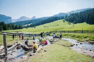 Naturerlebnisweg PanaRaida  - St.Christina in Gröden - #7 - suedtirol.info