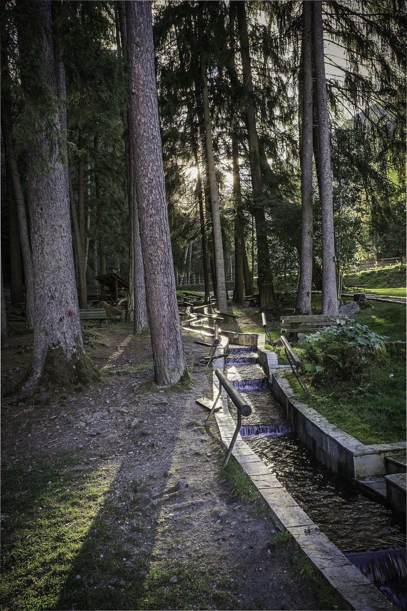 The adventure theme trail along the Schalderer Bach Torrent Vahrn/Varna 3 suedtirol.info