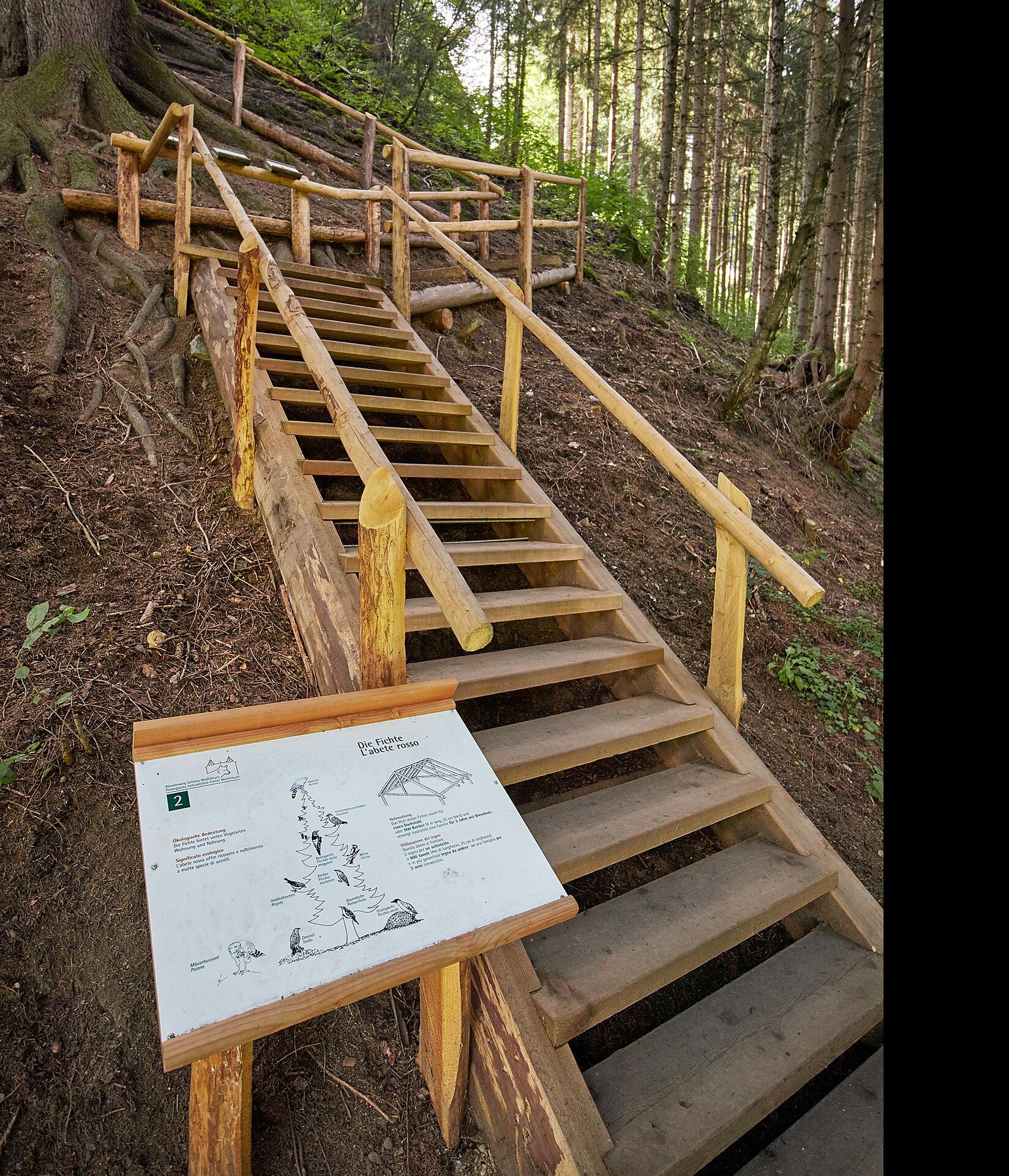 Naturlehrpfad Wald-Wasser Schloss Wolfsthurn - Sterzing und Umgebung - #1 - suedtirol.info