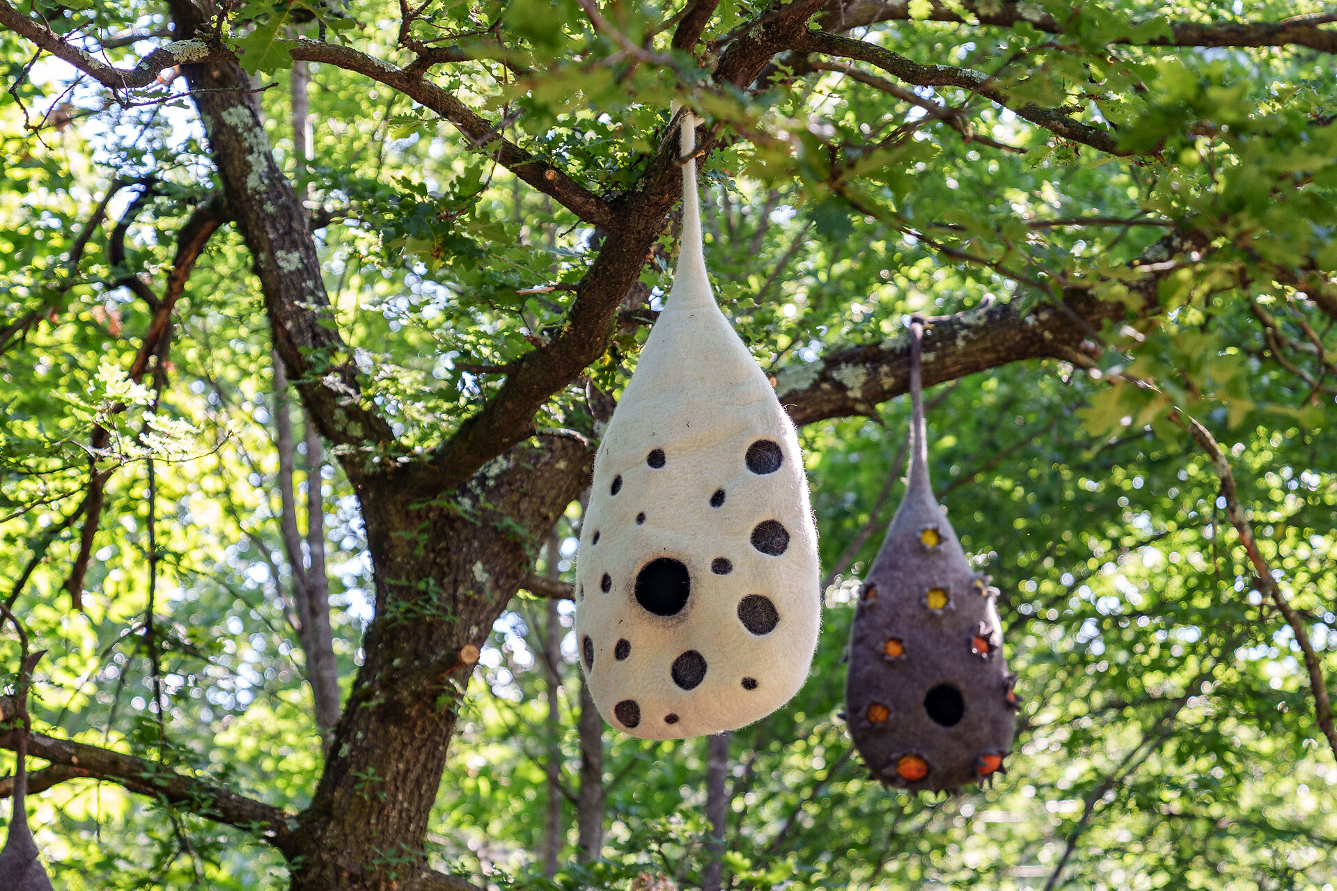 NEW International Felt Art Trail in Tesimo