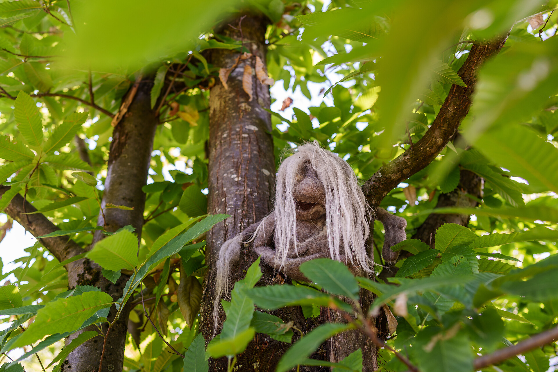 NEW International Felt Art Trail in Tesimo