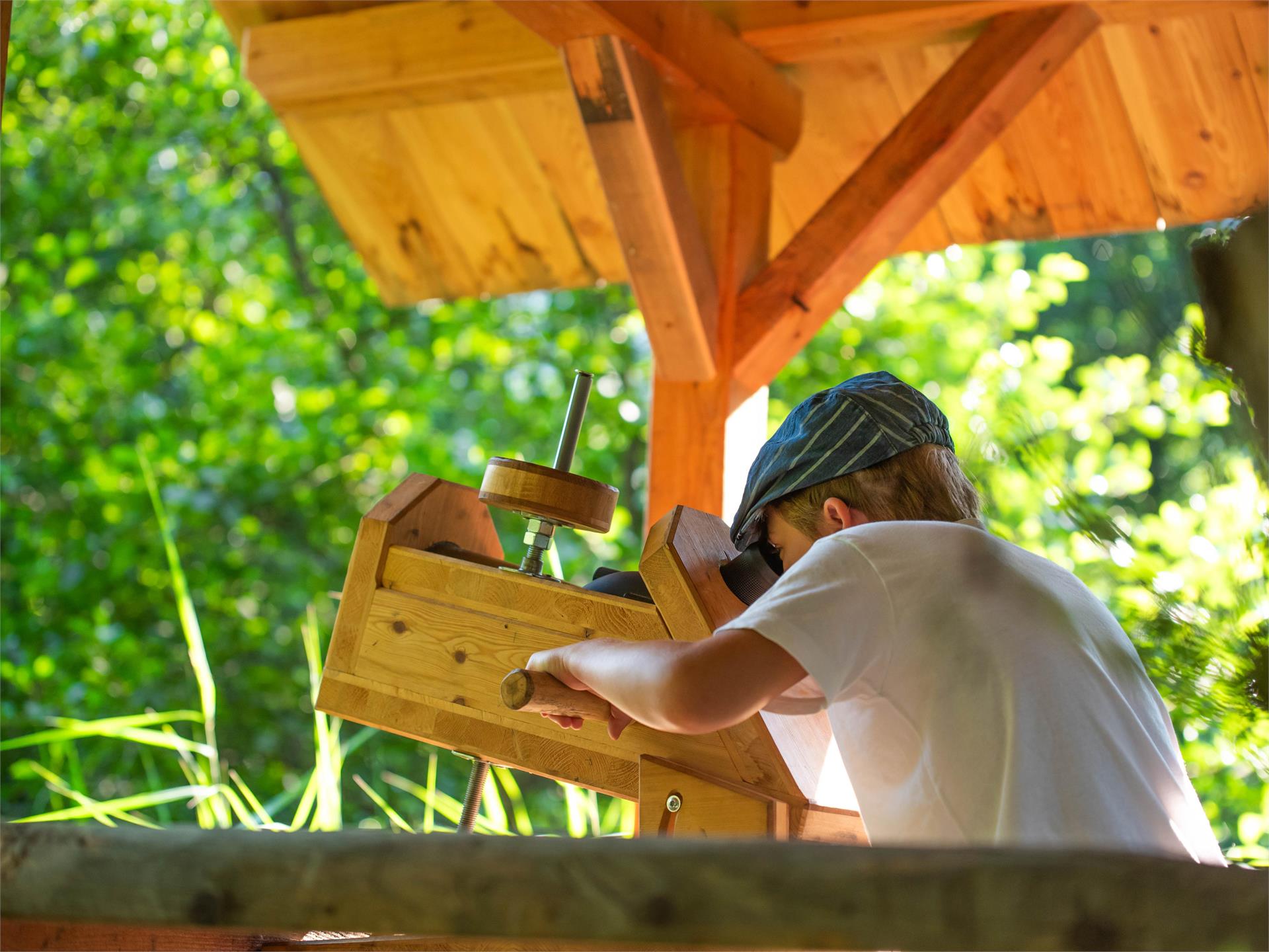 Nature experience trail in the Schludernser Au Schluderns/Sluderno 3 suedtirol.info