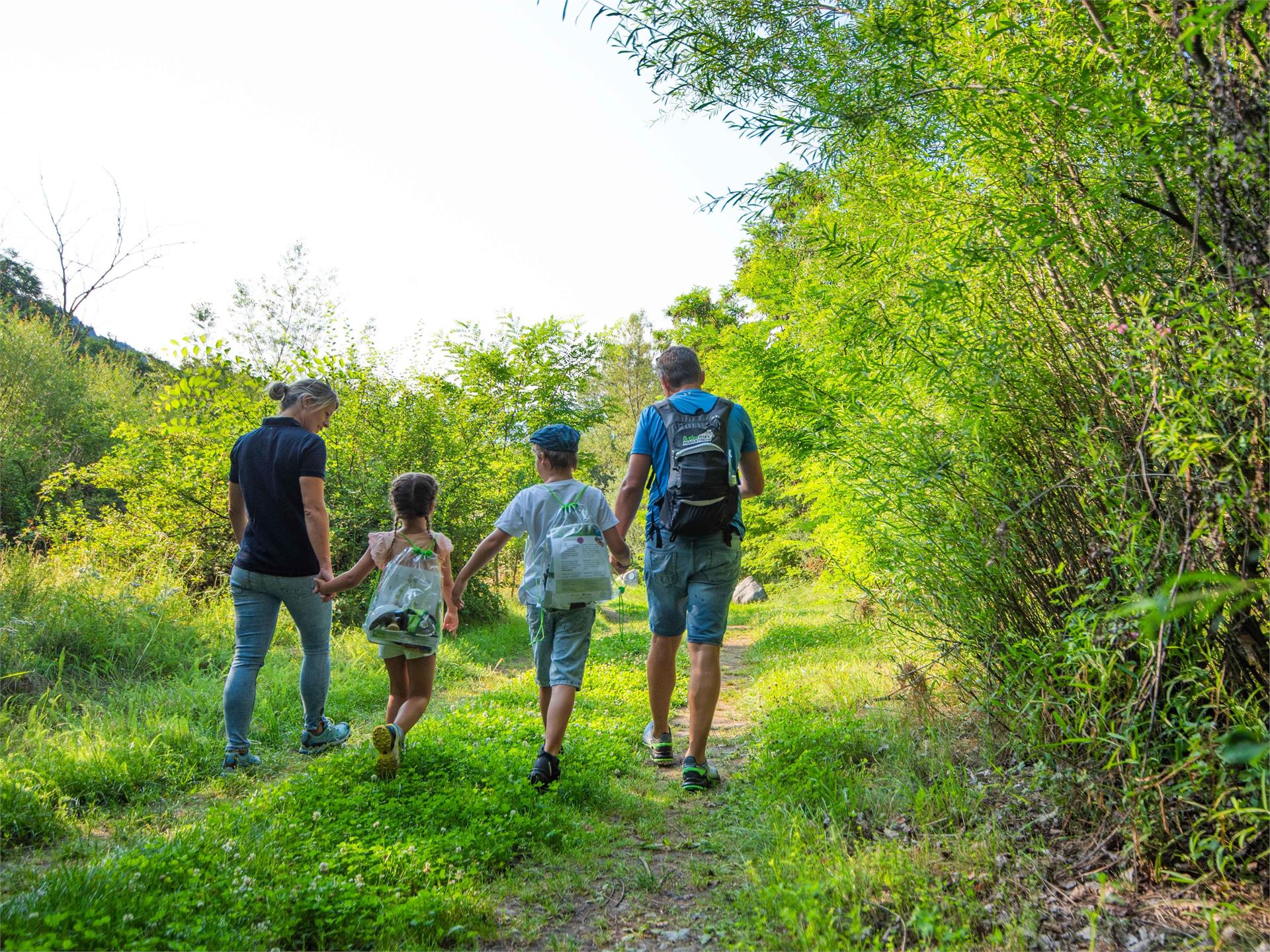 Nature experience trail in the Schludernser Au Schluderns/Sluderno 1 suedtirol.info