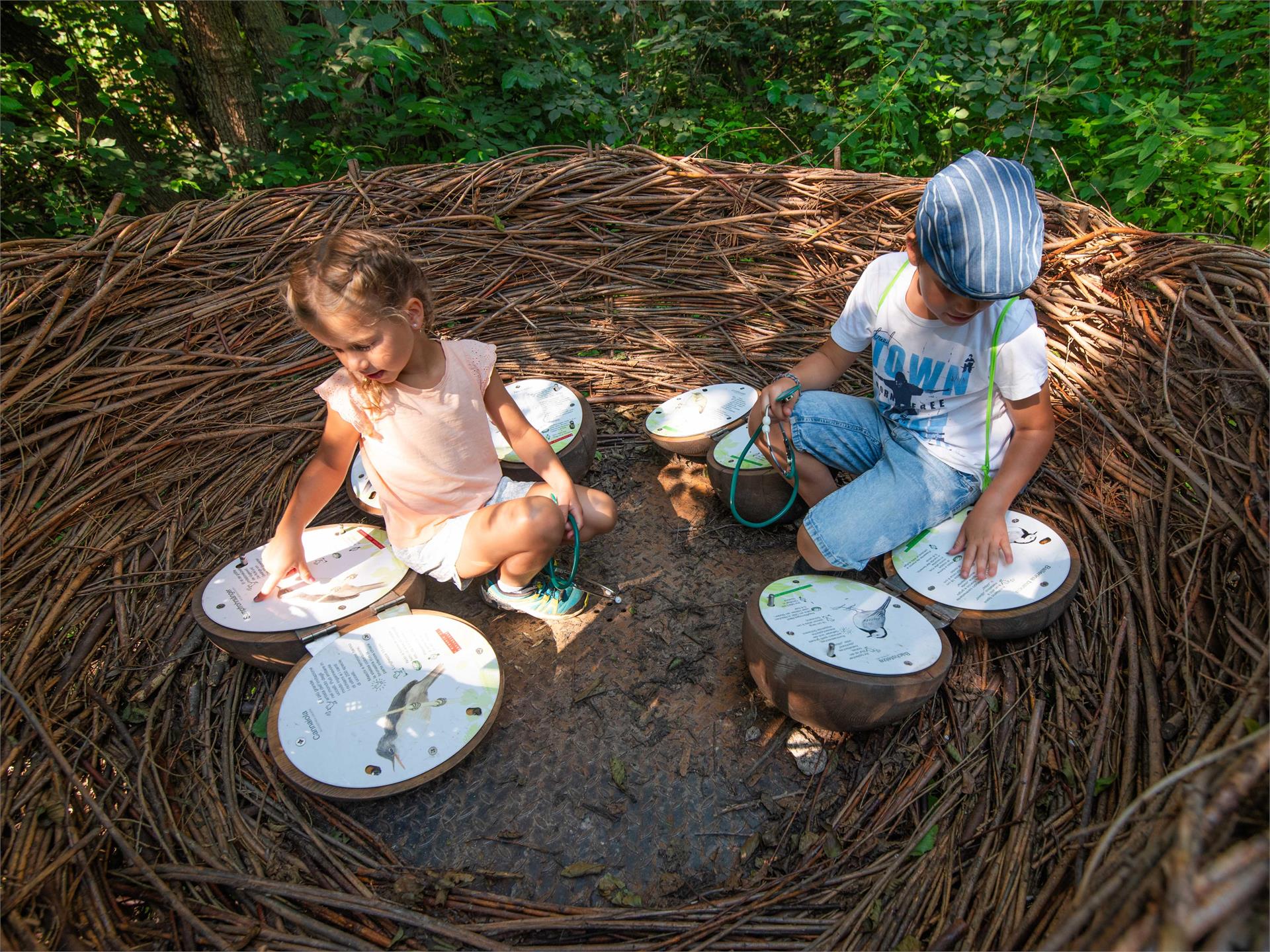 Nature experience trail in the Schludernser Au Schluderns/Sluderno 6 suedtirol.info