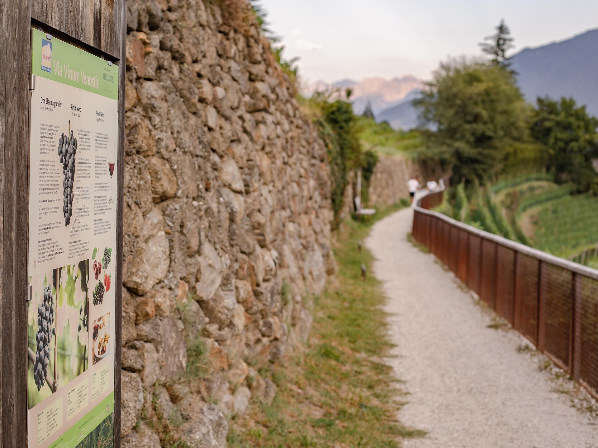 Vogeltenn Promenade