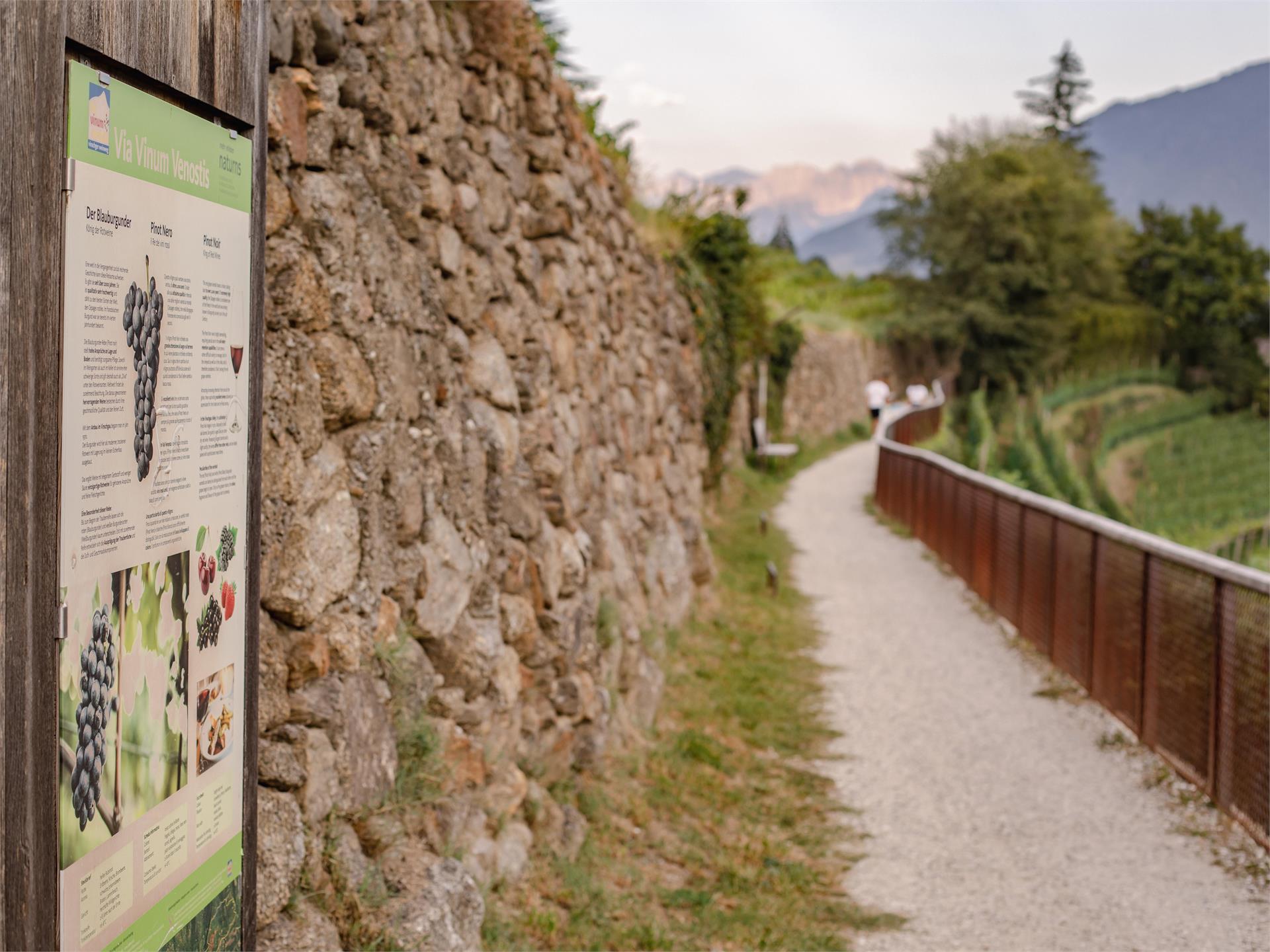 Nordic Walking Tour 1: "Vogeltenn" Naturns/Naturno 3 suedtirol.info