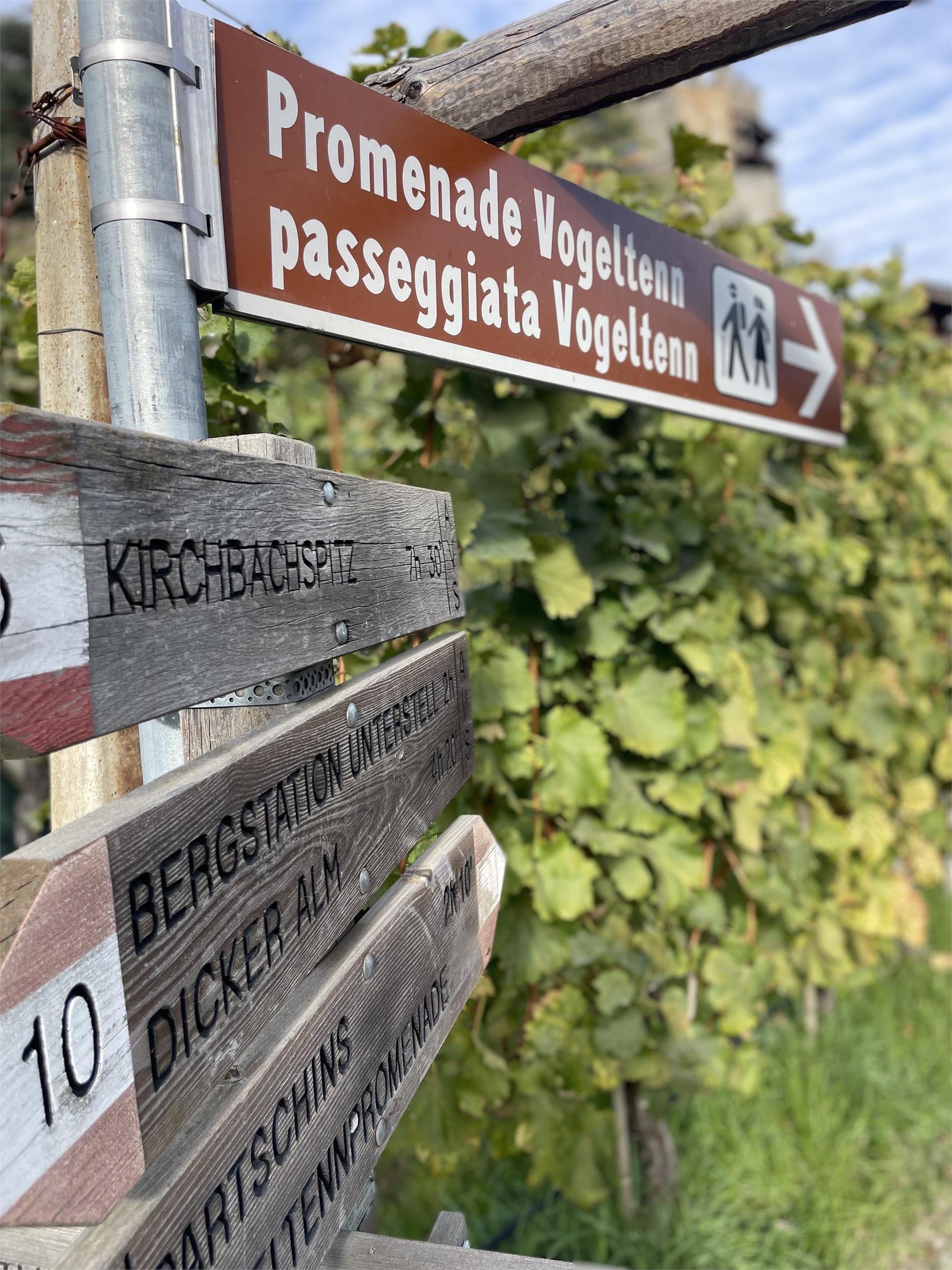 Nordic Walking Tour 1: "Vogeltenn" Naturns/Naturno 1 suedtirol.info